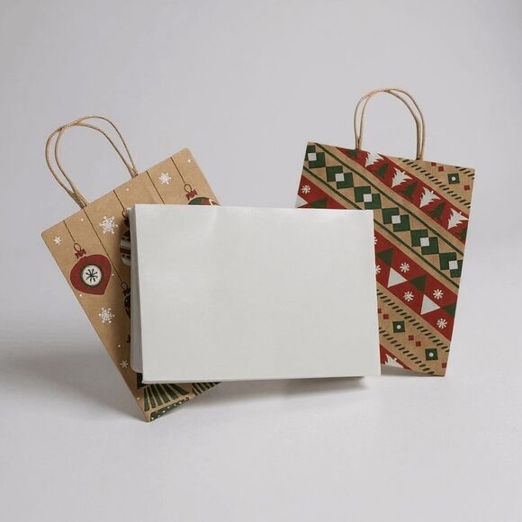 B13. Christmas/Holiday Gift Bag Set of 2 - Picture 1 of 3